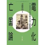 電力化亡国論: 核・原発事故・再生可能エネルギー買取制度 (シリーズ環境問題を考える 4)
