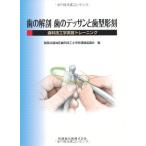 歯の解剖 歯のデッサンと歯型彫刻歯科技工学実習トレーニング
