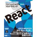  Professional Web программирование React