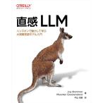  прямой чувство LLM - рукоятка z on . перемещение . делать .. крупный язык модель введение 