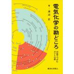 電気化学の勘どころ: 対話でつかむホントの姿
