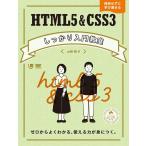 HTML5&amp;CSS3 надежно введение .. Zero из хорошо понимать, можно использовать сила ......