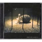 CD[AKB48|.... битва . нет ]