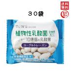 東洋ナッツ ヨーグルトレーズン 10g×30袋 4562486171279