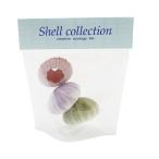  морской еж . арка n[ морской еж ] примерно 4~5cm[3 цвет ассортимент ] детали рукоделие craft для природа материалы.