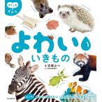 yo... кимоно / маленький . блестящий ./ утро день газета выпускать 