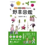  травы иллюстрированная книга еда .* лекарственные травы *... понимать / золотой рисовое поле . один ./ основа . Хара 