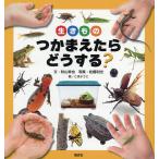 【条件付＋10％相当】生きものつかまえたらどうする？/秋山幸也/松橋利光/こばようこ【条件はお店TOPで】