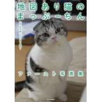 【条件付＋10％相当】地図あり猫のまっぷーちんファースト写真集　「ねこ休み展」スピンオフ公認！/まぷこ＆まぷお/BACON【条件はお店TOPで】