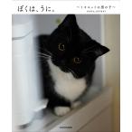 ぼくは、うに。 ミヌエットの男の子/unico＿uniuni