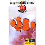 【条件付+10%】学研の図鑑LIVE POCKET 8 魚【条件はお店TOPで】