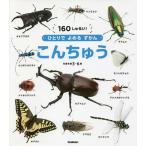 ko....160....! объект возраст 3~6 лет 