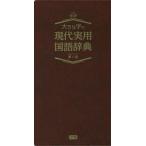 大きな字の現代実用国語辞典/学研辞典編集部