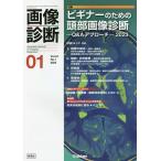  диагностика изображений Vol.43No.1(2023-01)