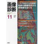  диагностика изображений Vol.43No.13(2023-11)
