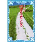  дорога. сырой .... новый оборудование версия / Toyama Кадзуко / большой двор ..