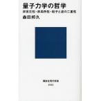  квантовая механика. философия не реальный ..* не отдел место .* частица . волна. 2 -слойный ./ Morita ..