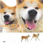 【条件付＋10％相当】秋田犬ゴンとトラ　あきたけんじゃないよあきたいぬだよ/講談社【条件はお店TOPで】