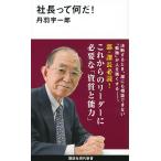 【条件付＋10％相当】社長って何だ！/丹羽宇一郎【条件はお店TOPで】