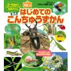  впервые .. ........BC Kids тяпка .. описание есть! английский язык есть .... видеть в то время как английский язык ....! 3~6 лет предназначенный подножка выше интеллектуальное развитие ...