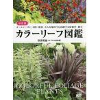 カラーリーフ図鑑 決定版 オールシーズン・日陰・酷暑・どんな場所でも活躍する宿根草・樹木/荻原範雄