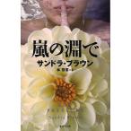 嵐の淵で/サンドラ・ブラウン/林啓恵