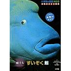  Shogakukan Inc.. иллюстрированная книга NEO подлинный товар. размер книга с картинками .... павильон . размер большой /...kn/ сосна ...