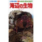  море сторон живое существо / Hakusan ../*. кисть сосна .../. гора ...