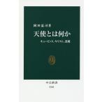 【条件付＋10％相当】天使とは何か　キューピッド、キリスト、悪魔/岡田温司【条件はお店TOPで】