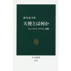 【条件付＋10％相当】天使とは何か　キューピッド、キリスト、悪魔/岡田温司【条件はお店TOPで】