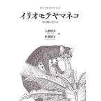i rio moteyama кошка вода. остров . сырой ../ земля .. Хара /....