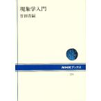  феноменология введение / бамбук рисовое поле синий .