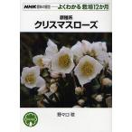 原種系クリスマスローズ/野々口稔