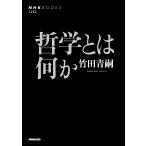 哲学とは何か/竹田青嗣