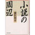 小説の周辺/藤沢周平