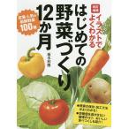 【条件付＋10％相当】イラストでよくわかるはじめての野菜づくり１２か月　定番・人気の新鮮野菜１００種/板木利隆【条件はお店TOPで】