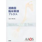  движение контейнер . пол анатомия Atlas 