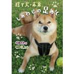 捨て犬・未来、しあわせの足あと/今西乃子/浜田一男