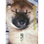 【条件付＋10％相当】ねだんのつかない子犬きららのいのち/今西乃子/浜田一男【条件はお店TOPで】