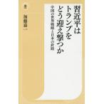 【条件付＋10％相当】習近平はトランプをどう迎え撃つか　中国の世界戦略と日本の針路/加藤嘉一【条件はお店TOPで】