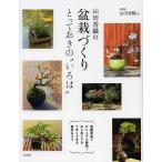  гора рисовое поле . тканый. бонсай ......... *... ~/ гора рисовое поле . тканый 