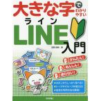 大きな字でわかりやすいLINE入門/岩間麻帆