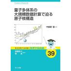  квантовый много body группа крупный численное значение счет ...... структура /. столица ..