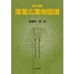 . лист широкий лист . map . стол сверху версия /. глициния новый один .