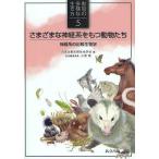  животное. много sama . сырой . person 5/ маленький Izumi .