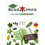 葉っぱで気になる木がわかる Q&Aで見分ける350種樹木鑑定/林将之