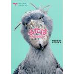 【条件付＋10％相当】ふたばPHOTOBOOK　カワイイ系ハシビロコウ/南幅俊輔/掛川花鳥園【条件はお店TOPで】