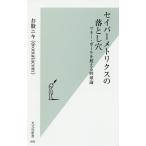 【条件付＋10％相当】セイバーメトリクスの落とし穴　マネー・ボールを超える野球論/お股ニキ【条件はお店TOPで】