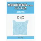  численное значение электромагнитный ... поэтому. FDTD закон основа . практика /.../ какой один ./ иметь лошадь стол .