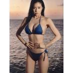 追求/阿部なつき